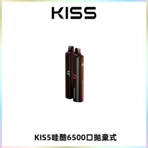 KIS5WAGOO哇酷6500口拋棄式 | 自由混搭雙口味 | 雙芯組合